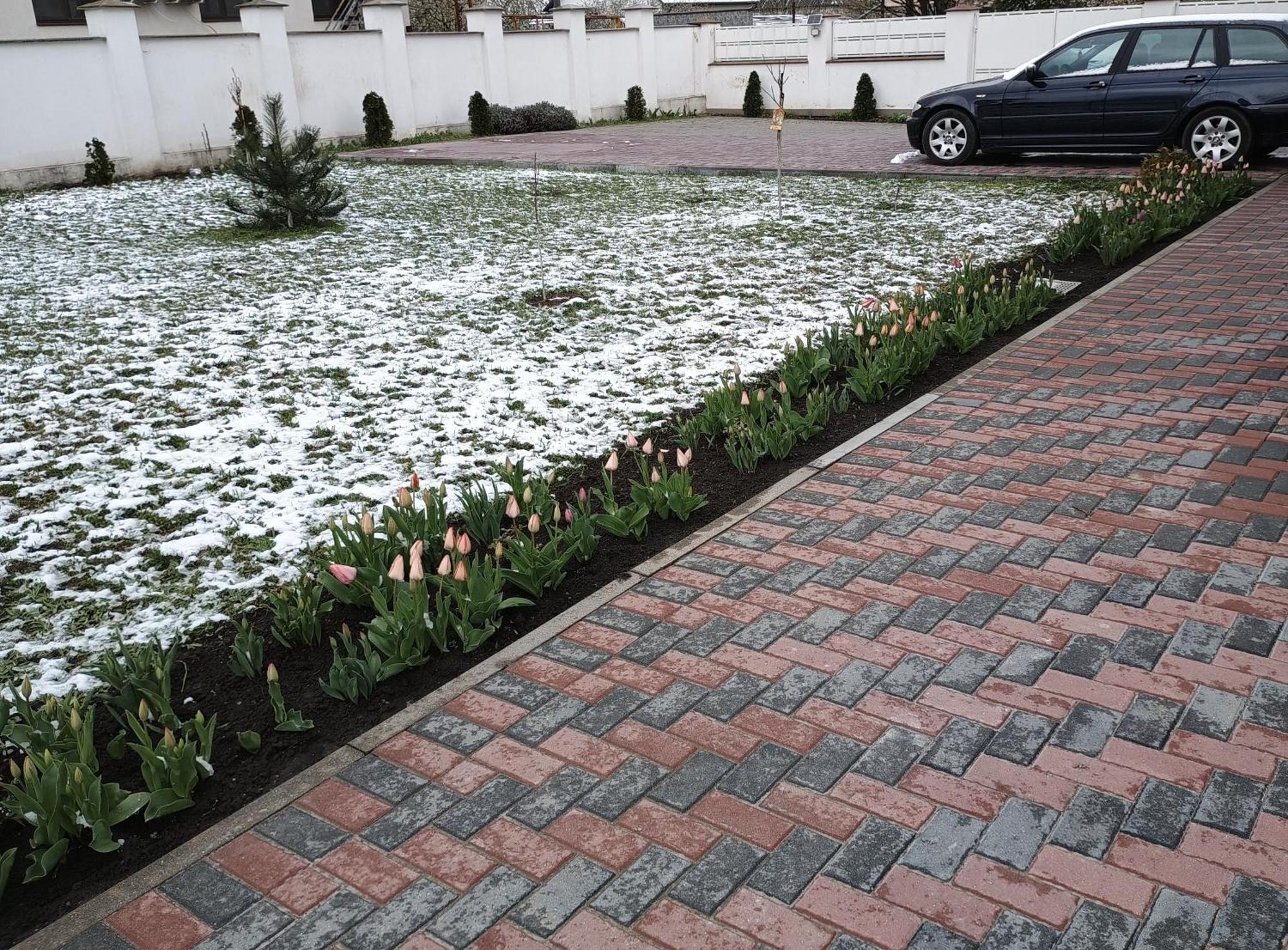 Vila Family Cricova Exterior photo